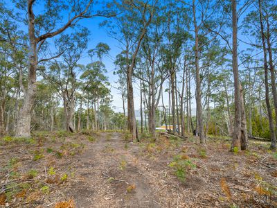 132 Cliffords Road, Deep Bay