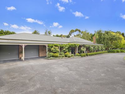 11 Rodger Place, Bushfield