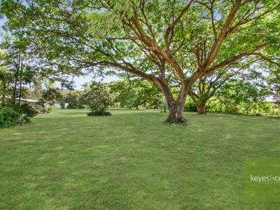 4 Cordingley Road, Alligator Creek