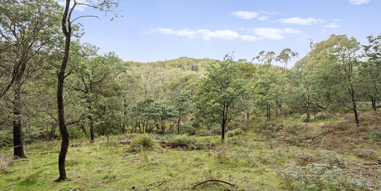 Lot 1 & 2 McCombes Road, Creek Junction