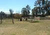 2 Hill Street, Molong