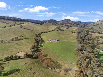 1591 Mansfield-Woods Point Road, Piries