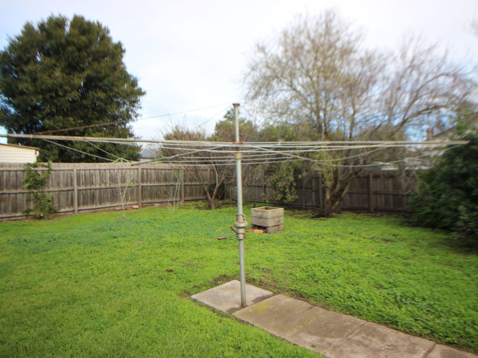 81 Gertrude Street, Geelong West