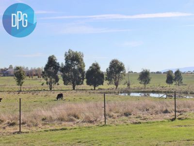 217 Ogilvies Road, Mansfield