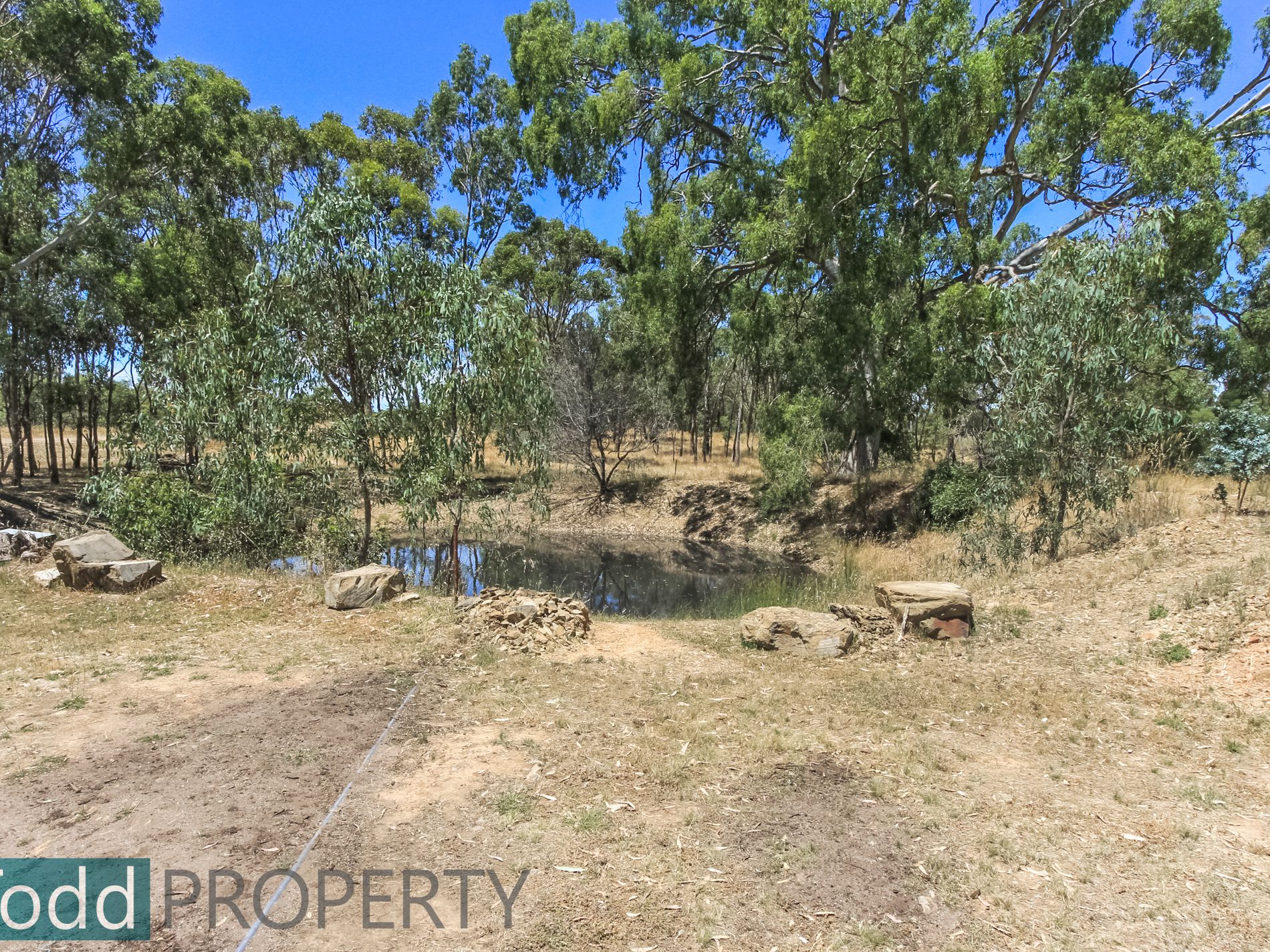 655 Spring Flat Road, Heathcote