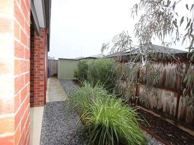 7 Leghorn Way, Marshall