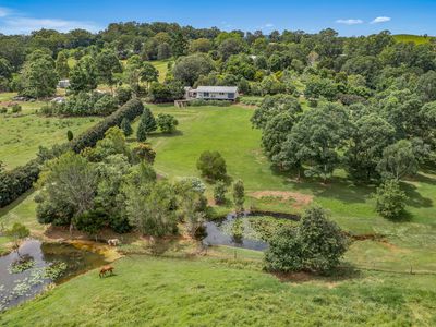 65 Wilton Road, Greens Creek