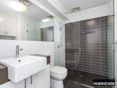 8 / 176 Newcastle Street, Perth