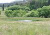 Blayney, Orange