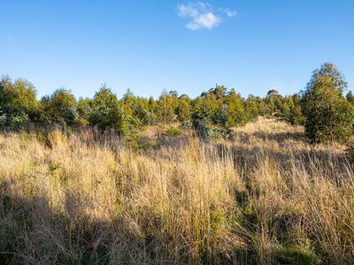 off Paddys Lane , Franklin