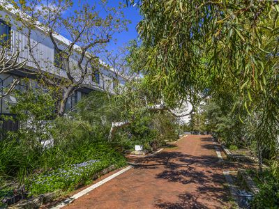 10 / 3 Ellen Street, Fremantle