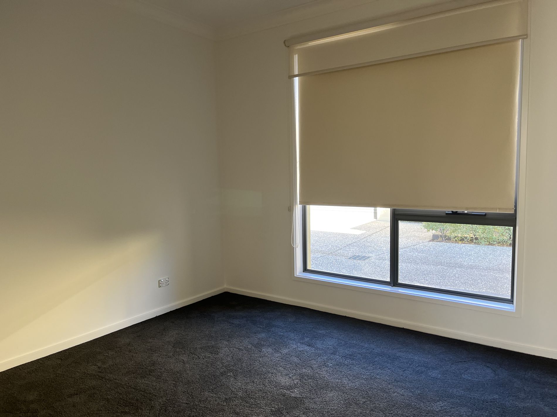 3 / 3 McNabb Avenue, Geelong West