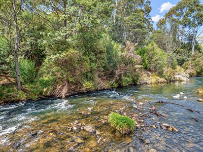Lot 14, Hill Street, Geeveston