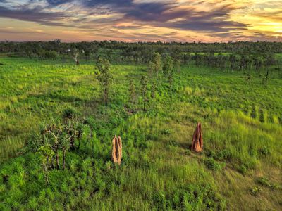 55 Meade Road, Darwin River