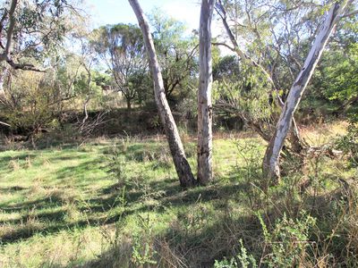 81 Forest Drive, Heathcote