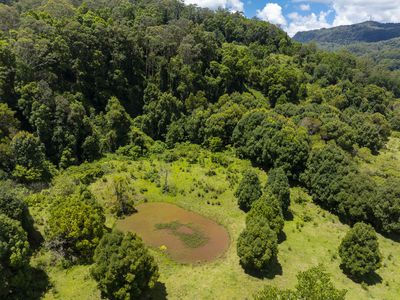 353 Gungas Road, Nimbin