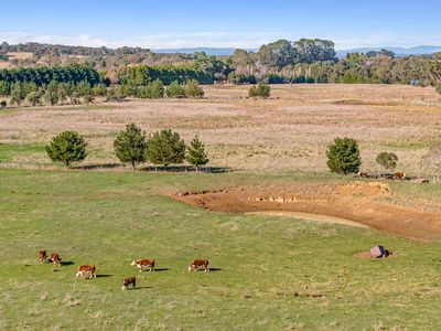 3074 Range Road, Bannister via, Goulburn