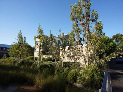 26 / 139 Myall Street, Tea Gardens