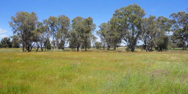 112 Jefferies Road Locksley, Avenel