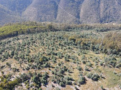 164 Smiths Road, Moogara