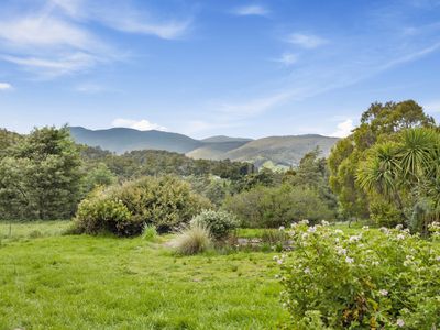 351 Golden Valley Road, Cygnet