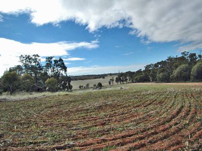 3 / Bartram, Brookton