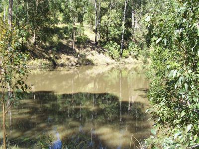 Maleny