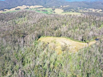 Lot 1/441676 Lower Twenty Four Road, Bellangry