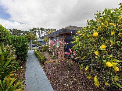 2 Jeannie Way, Waikanae Beach