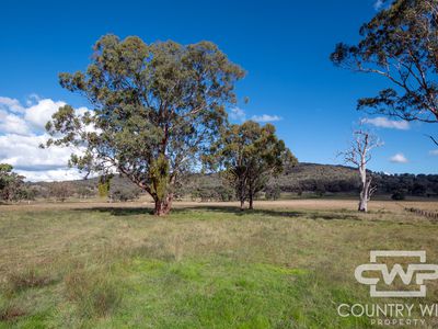 Lot 241, 243, 2202 Wellington Vale Road, Emmaville