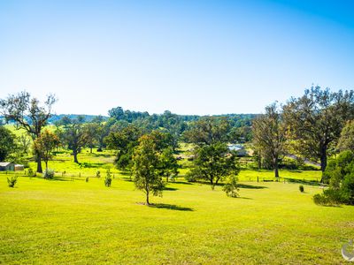 352 Bodalla Park Drive, Bodalla