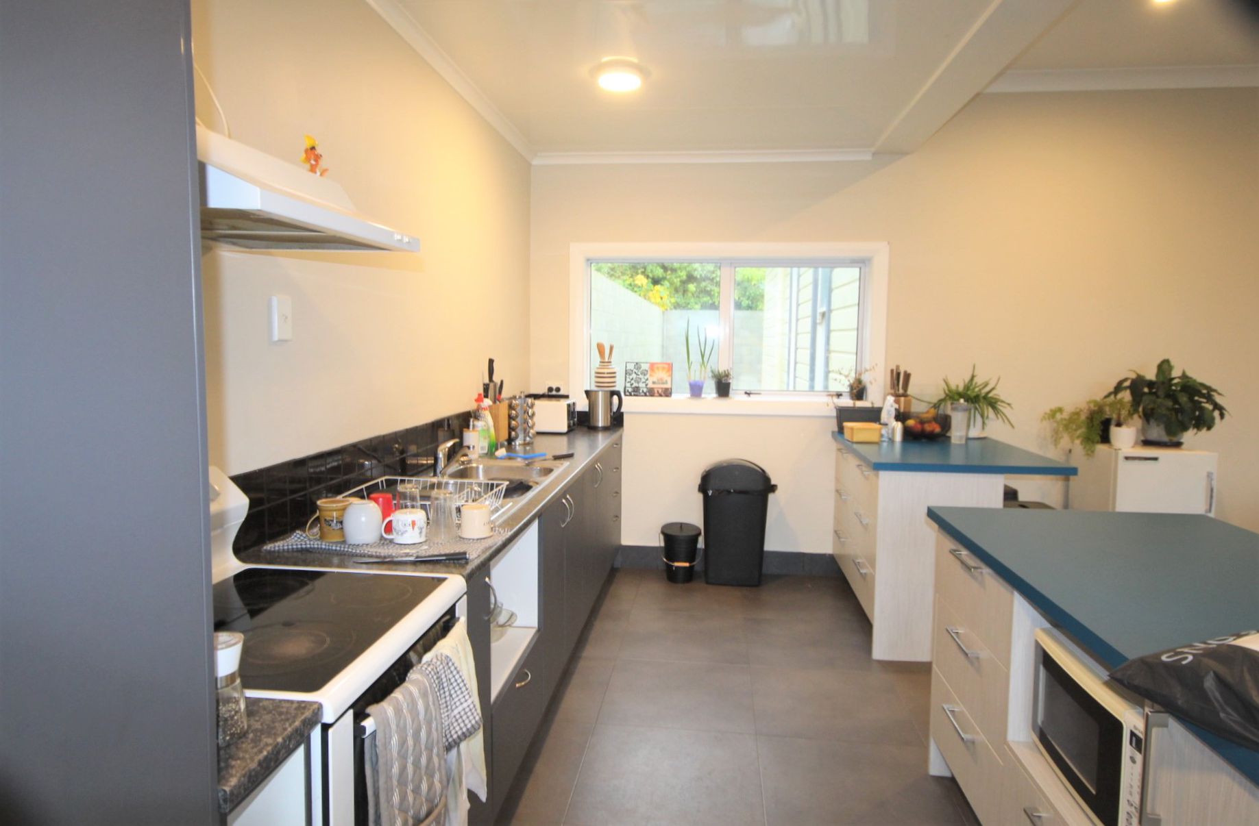 174 Dundas Street, North Dunedin