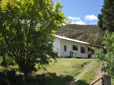 2955 Benambra-Corryong Road, Nariel Valley
