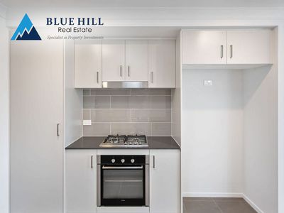 81 Dairyman Drive, Raymond Terrace