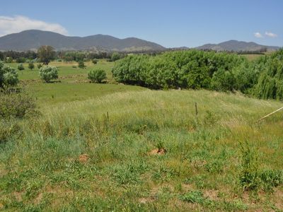 961 Yackandandah - Wodonga Road, Staghorn Flat