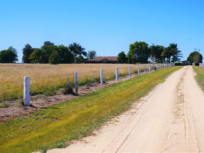 Kingaroy