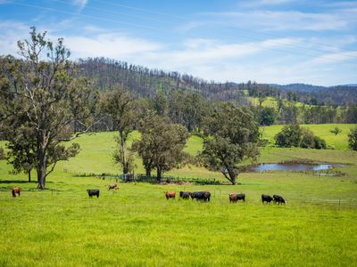 1043 Eurobodalla Road, Eurobodalla