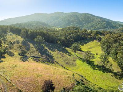 9052 Princes Highway, Tilba Tilba