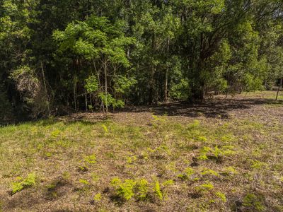 80 Robb Road, Lillian Rock