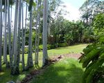 6B Park Lane, Buderim