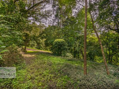 41 / 4505 Kyogle Road, Wadeville