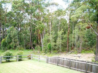 18 Blackbean Grove, Ulladulla