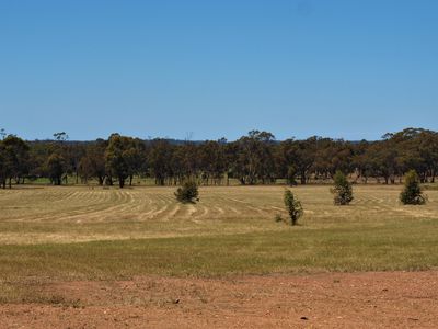 3272 Avoca-Bealiba Road, Bealiba