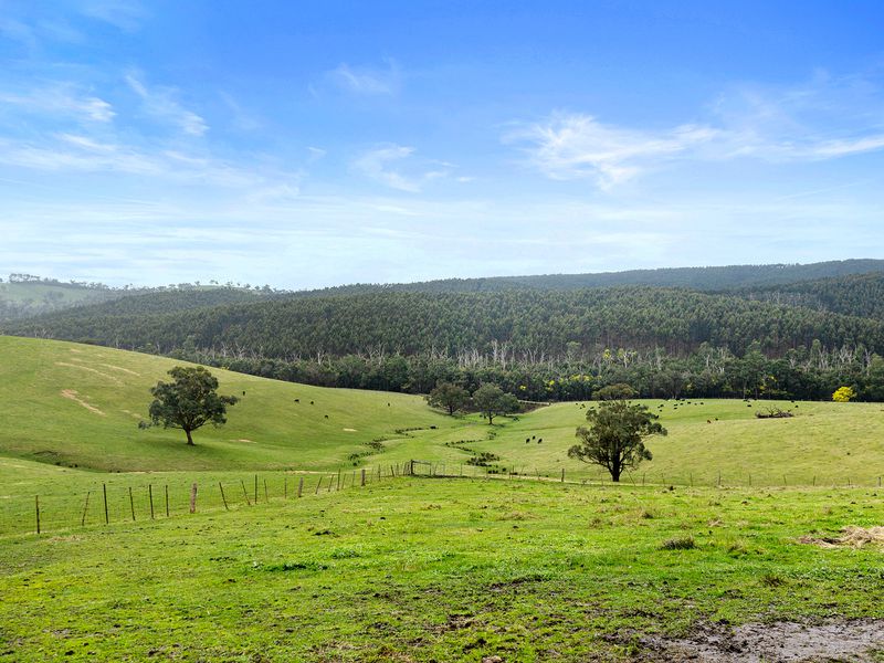 225 North Mountain Road, Heathcote Junction