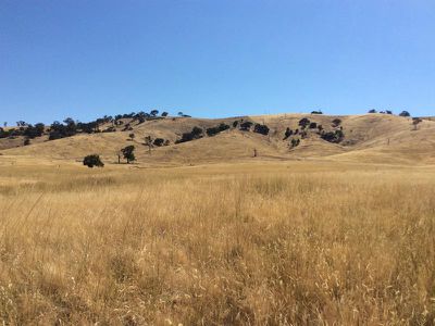 520 Hall Lane, Avenel