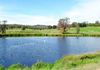 5933 Henry Parkes Way, Manildra