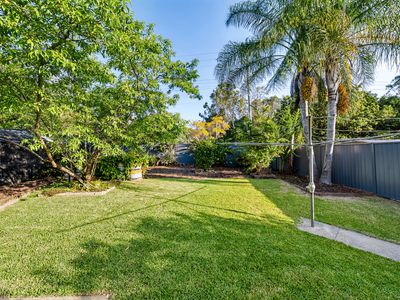 18 Satinay Street, Keperra