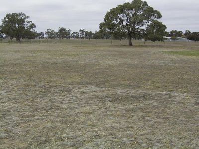 Warracknabeal