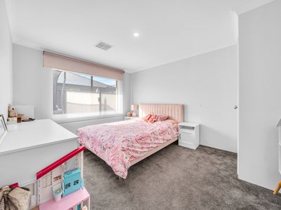 19 Echidna Street, Banksia Grove