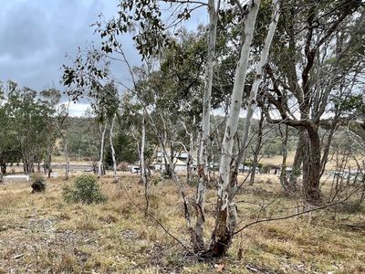 Lot 231, Wollun Road, Walcha Road